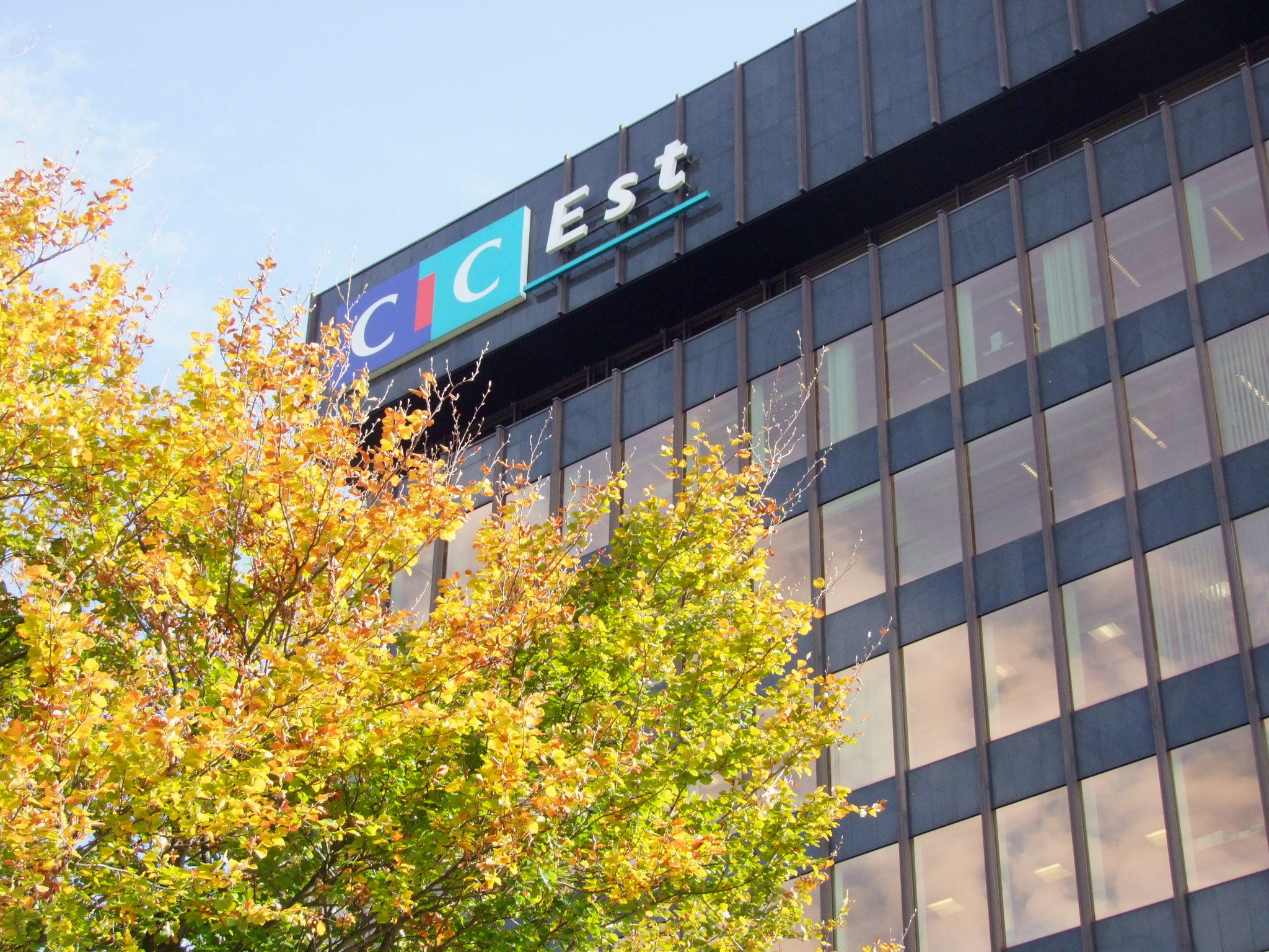 STRASBOURG-SIEGE-CIC Est - NE PAS COUPER SVP mais copier-coller006